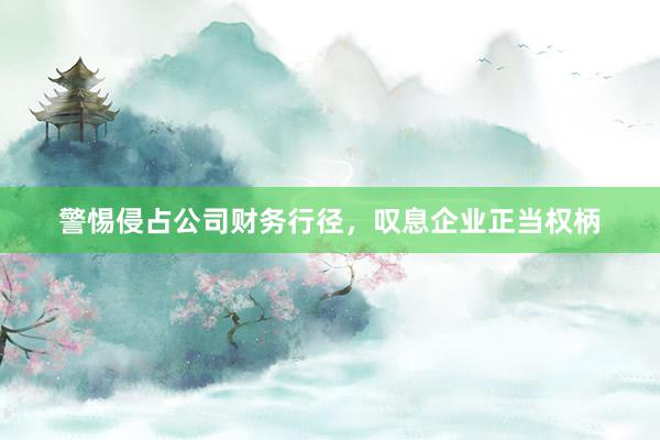 警惕侵占公司财务行径，叹息企业正当权柄